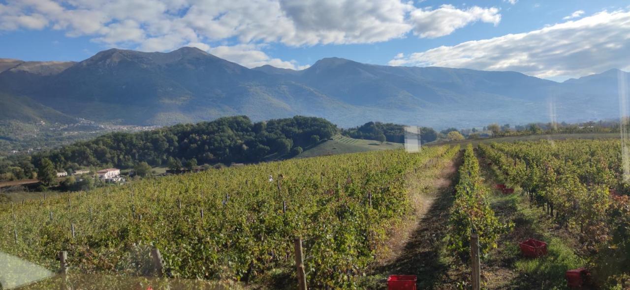 Vigna Al Parco Aparthotel Alvito Luaran gambar