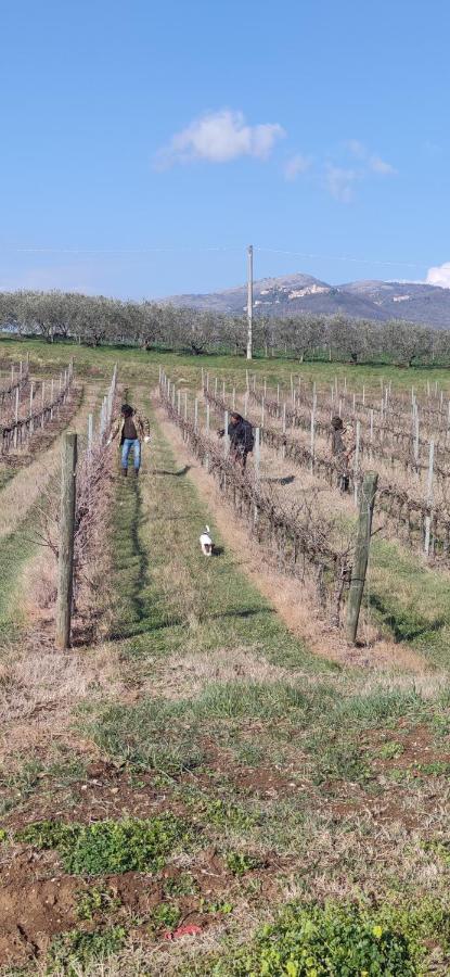 Vigna Al Parco Aparthotel Alvito Luaran gambar