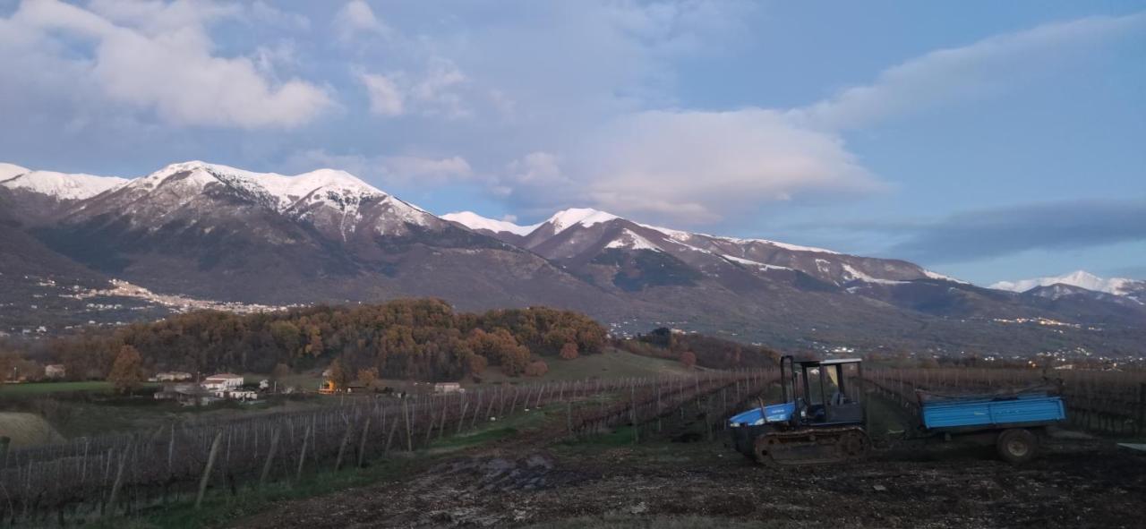 Vigna Al Parco Aparthotel Alvito Luaran gambar