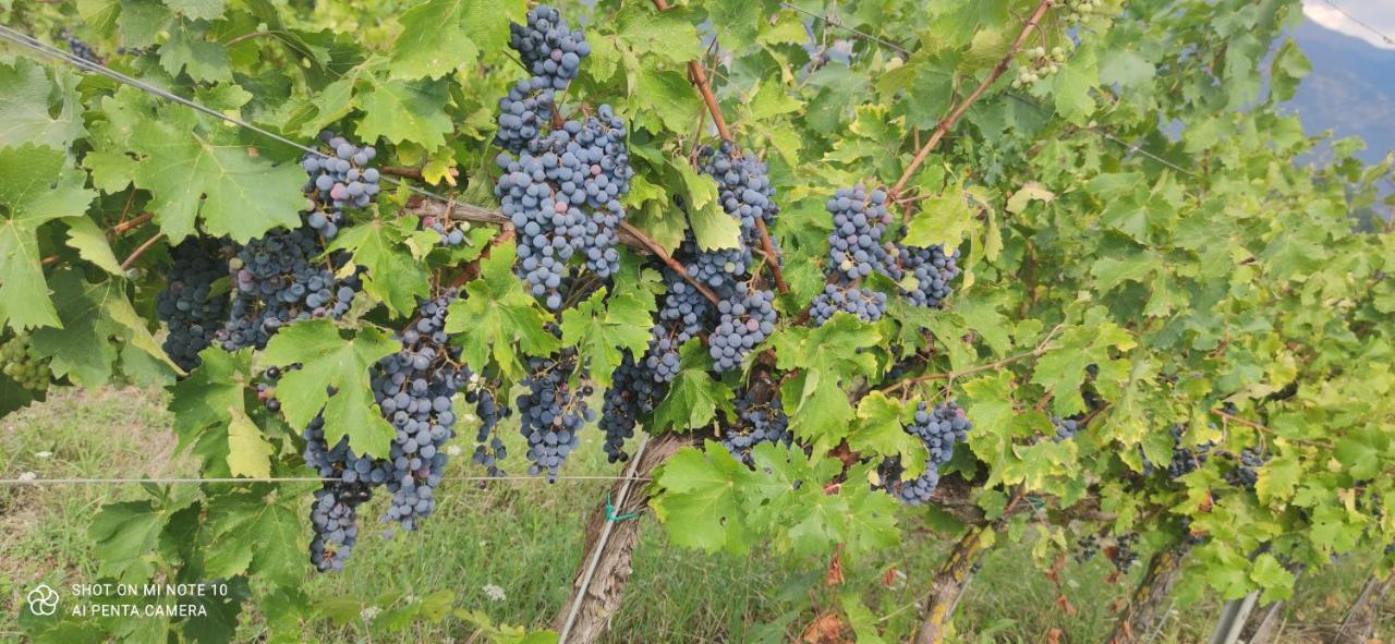 Vigna Al Parco Aparthotel Alvito Luaran gambar